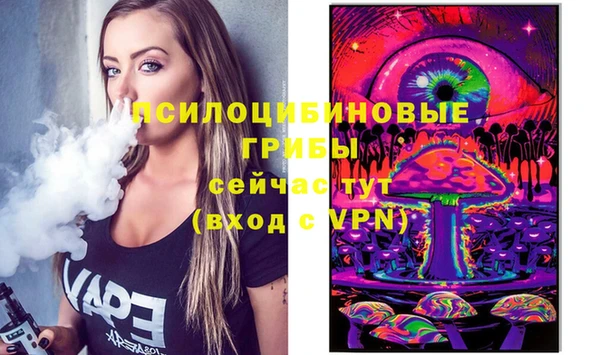 ГАЛЛЮЦИНОГЕННЫЕ ГРИБЫ Алзамай