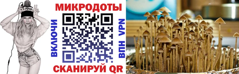 darknet состав  Красноуральск  Галлюциногенные грибы GOLDEN TEACHER  где продают наркотики 